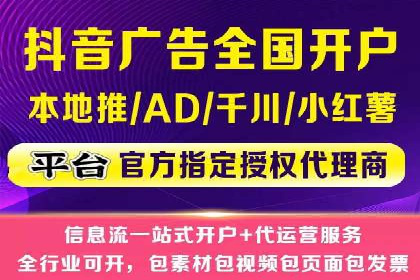 大型SEM服务公司案例分析